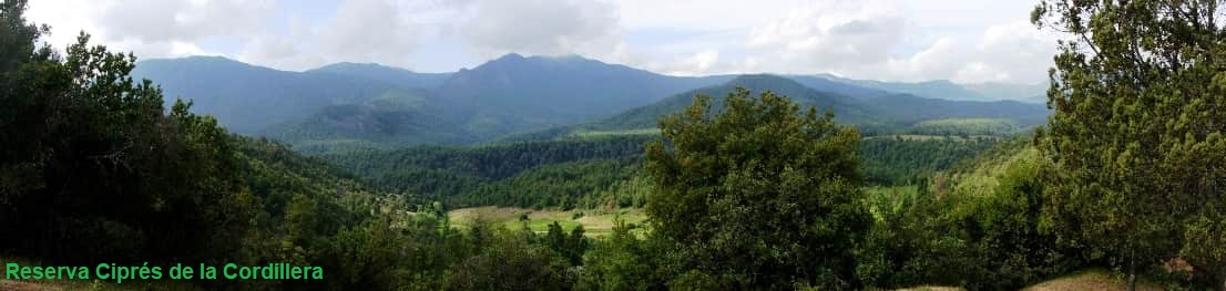 Valle Potrero Grande
