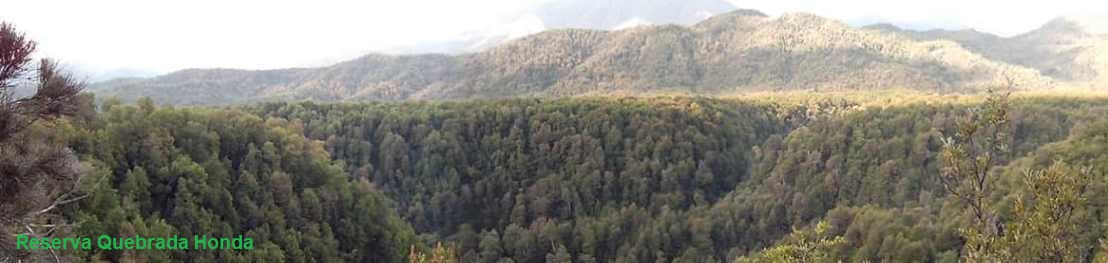 Reserva Quebrada Honda